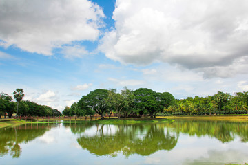 Vegetation and island in the middle of the lake in Sukhothai with intense color