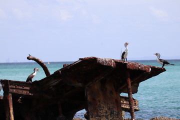 old fishing boat
