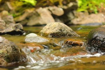 Small Stones in the Big Collawash River at Bagby Hot Springs in Mount Hood National Forest, Oregon Macro