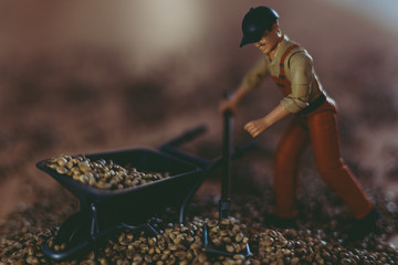 Cannabis Weed Worker is working with wheelbarrow, shovel and broom. Cannabis Seeds Production.