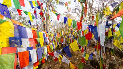 Fototapeta na wymiar Camp de réfugiés tibétains en Inde