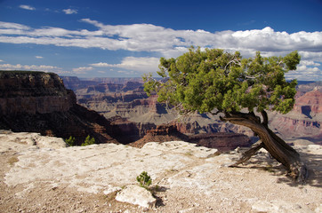 Moran Point, Grand Canyon National Park