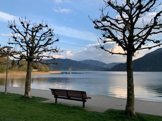 Fototapeta na wymiar Parkbank zum Entspannen am Ufer vom Ägerisee - See im Kanton Zug, - Schweiz