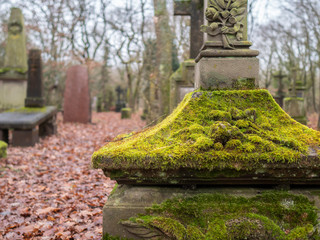 cruz de cementerio llena de musgo verde
