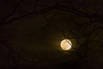Full wolf moon night sky