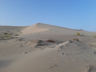 traveling in sahara desert of Algeria