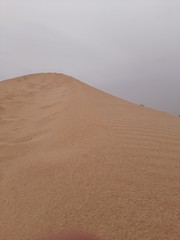 Fototapeta na wymiar Sand dunes in desert on Algeria