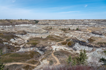 View of the popular Horseshoe Canyon in late spring, Canadian Badlands in summer, Drumheller, Alberta, Canada