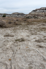 View of the popular Horseshoe Canyon in late spring, Canadian Badlands in summer, Drumheller, Alberta, Canada