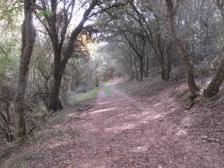 Fototapeta premium pARQUE NATURAL hOCES DEL rÍO rIAZA