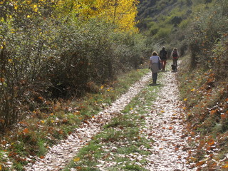 pARQUE NATURAL hOCES DEL r&Iacute;O rIAZA