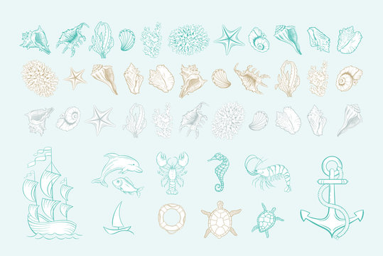 Marine line art vector icons of sea shells, anchor and mollusks. Hand drawn icon set with white fill. Marine seashell, seahorse, dolphin fish and turtle, anchor and buoy, corals, shrimp and yacht ship
