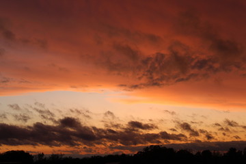 Amber Clouds