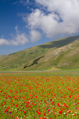 CASTELLUCCIO DI NORCIA AND ITS FLOWERING