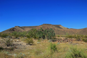 Desert Landscape with Mountains of the Western United States