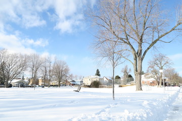 Fototapeta na wymiar TORONTO, CANADA: The beautiful view of snow in winter Toronto, Canada.