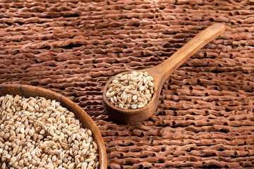 Dried pearl barley in a wooden bowl - Hordeum vulgare