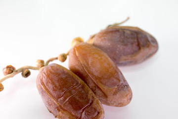 Dried dates on white background
