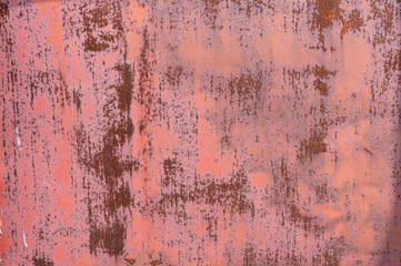peeling red paint. dirty profiled metal sheet. rusty metal