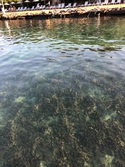 water