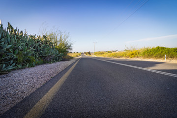 Fototapeta premium An empty road, near the Bitzaron moshav in Israel, because of the Corona virus
