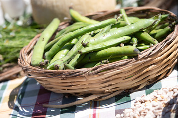 Cesto di piselli. Dieta mediterranea in Puglia (Italia)