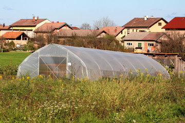 New plastic greenhouse covered with semi-transparent nylon built in family house backyard surrounded with high uncut grass and suburban family houses in background