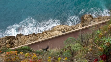 Coast of Monaco