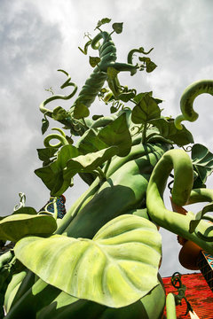 Beanstalk