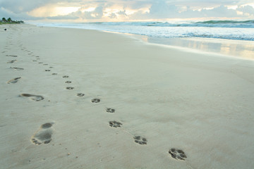 footprints on the beach