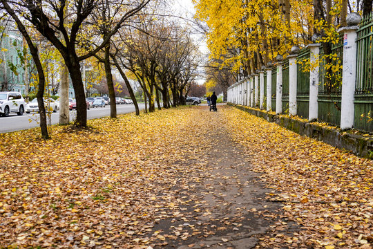 beautiful autumn city alley strewn with yellow fallen leaves, cityscape
