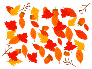 Vector drawn flat design autumn leaves red orange color, layer mix autumn leaves layout on white cool background isolated 