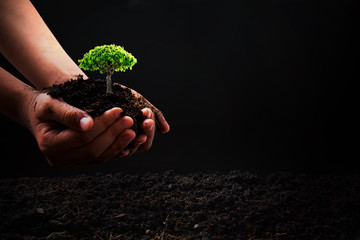 World environment day and save environment concept, close up hand holding soil with seedling plant...
