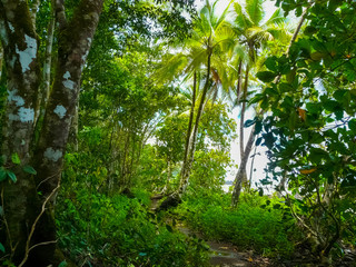 Corcovado National Park, Osa Peninsula, Costa Rica