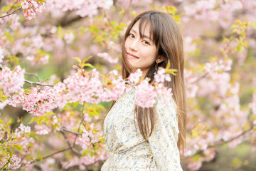 Fototapeta premium 美しい女性