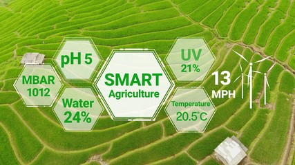 Smart digital agriculture technology by futuristic sensor data collection management by artificial...