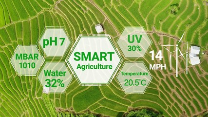 Smart digital agriculture technology by futuristic sensor data collection management by artificial...