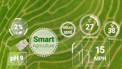 Smart digital agriculture technology by futuristic sensor data collection management by artificial...