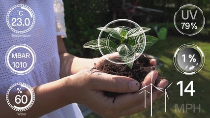 Smart digital agriculture technology by futuristic sensor data collection management by artificial intelligence to control quality of crop growth and harvest. Computer aided plantation grow concept.