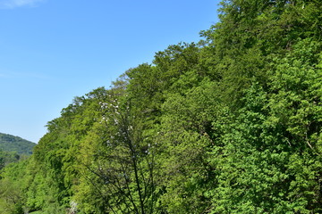 Königswinter Drachenfels im April