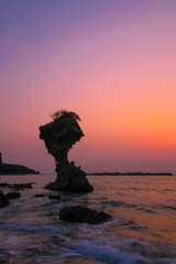 日本　長崎県　りんご岩