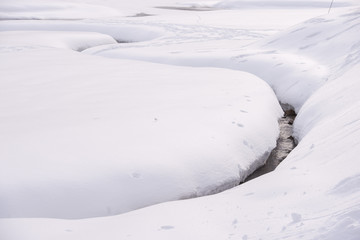 Fototapeta na wymiar Paesaggio invernale tutto bianco con piccolo ruscello che scorre nella coltre di neve fresca