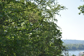 Obraz premium Königswinter Drachenfels im April Waldblick