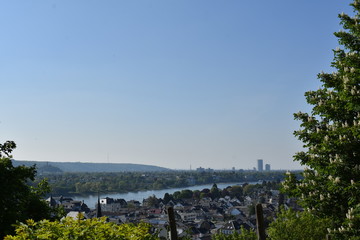 Rhein bei K&ouml;nigswinter