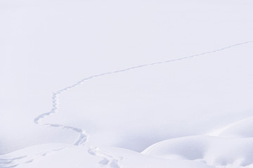 Distesa di neve bianca con traccia di un piccolo torrente che scorre tra gli alti argini di neve fresca in alta montagna