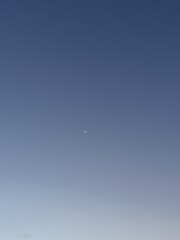 moon in the sky
