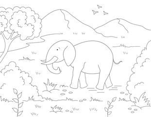 elephant coloring page