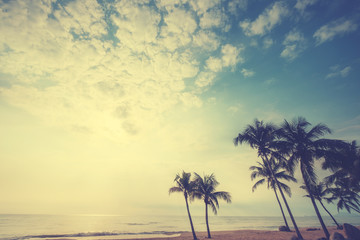 Seascape photo of vintage postcard.  silhouette palm tree on beach with yellow sunlight of the sun through the clouds over the blue sky. retro filter effect.