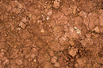 Texture of dried cracked clay. Macro background image of dried clay