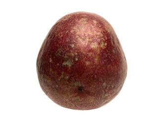 Tropical passion fruit creeper isolated object